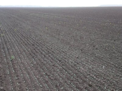 KREŠIMIR DOLENČIĆ KREŠIMIR DOLENČIĆ