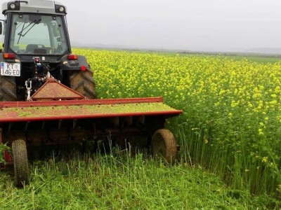 KREŠIMIR DOLENČIĆ KREŠIMIR DOLENČIĆ