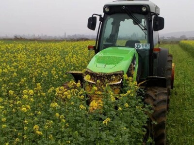 KREŠIMIR DOLENČIĆ KREŠIMIR DOLENČIĆ