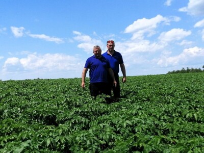 Kristijan Šajnović iz Domašinca obrađuje više od 250 hektara poljoprivrednih površina