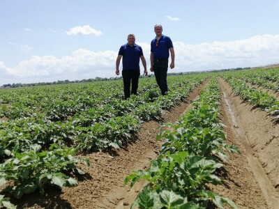 Kristijan Šajnović iz Domašinca obrađuje više od 250 hektara poljoprivrednih površina