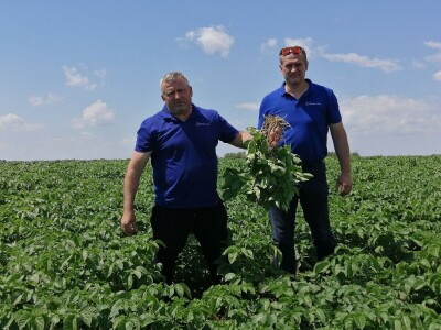 Kristijan Šajnović iz Domašinca obrađuje više od 250 hektara poljoprivrednih površina