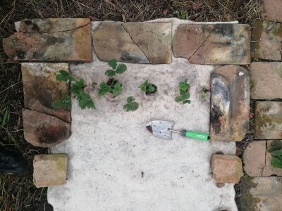 Kristina Lučić Andrijanić