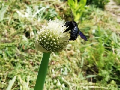 Kristina Lučić Andrijanić