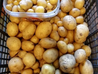 Kristina Lučić Andrijanić