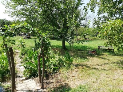 Kristina Lučić Andrijanić