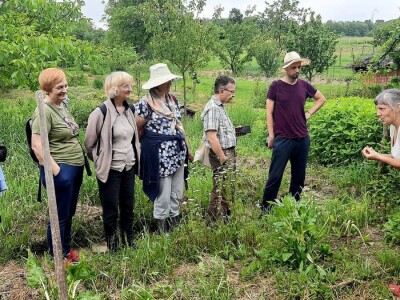 Kristina Lučić Andrijanić