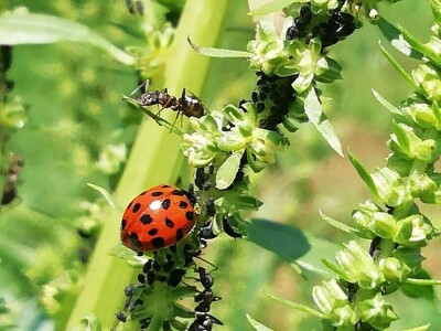 Kristina Lučić Andrijanić