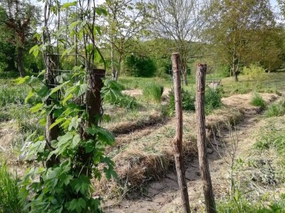 Kristina Lučić Andrijanić