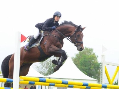 OPG Krivić - Bonanza