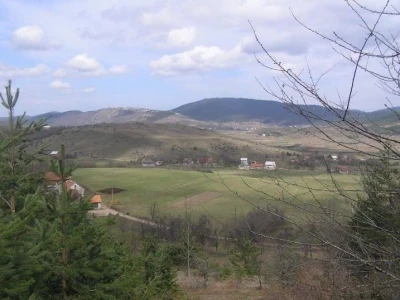 Kriza sa virusom