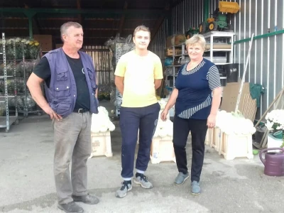 Krizanteme i multiflore