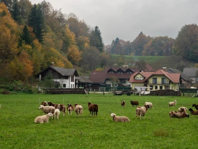 Križman Slovenija