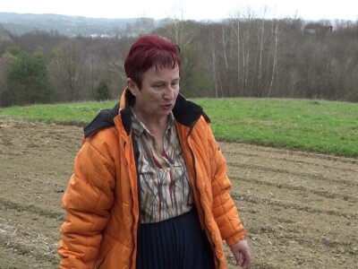 Krompir batat Stanari Krompir batat Stanari