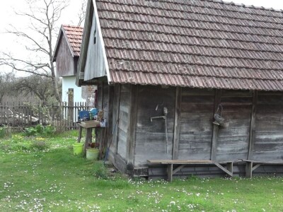 Krompir batat Stanari Krompir batat Stanari