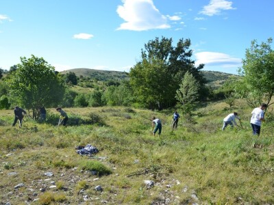 Krški travnjaci - Akcijski plan za očuvanje