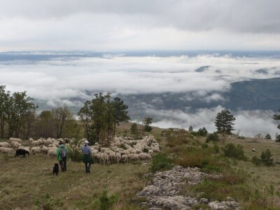 Krški travnjaci - Akcijski plan za očuvanje