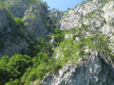 Krstarenje kroz kanjon reke Drine