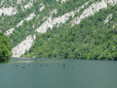 Krstarenje kroz kanjon reke Drine