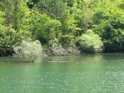 Krstarenje kroz kanjon reke Drine