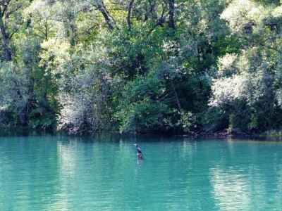 Krstarenje kroz kanjon reke Drine