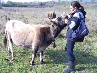 Stočarstvom se bave porodično