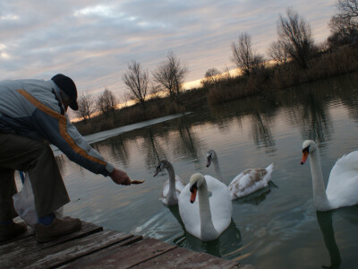 Krsto Franović - veliki čovjek