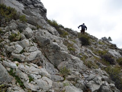 DRAMA NA VELEBITU - Ovčar Zore Gužvica među stijenama pronašao naklano janje koje je othranio na dudicu!
