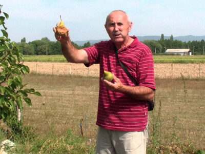 Mirko Veić sa krupnom lazankom
