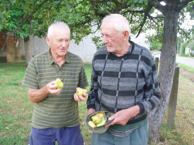 Milenko Ljubojević i Slavko Bilačić sa plodovima &quot;milenke&quot;