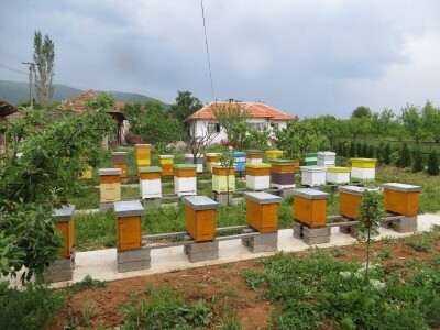 Kruzer zamenio pčelinjakom
