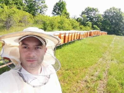 Kruzer zamenio pčelinjakom