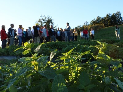 Kuća magične trave  - OPG Jakopović