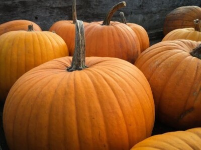 Kuća magične trave  - OPG Jakopović