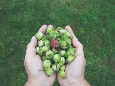 Kuća magične trave  - OPG Jakopović