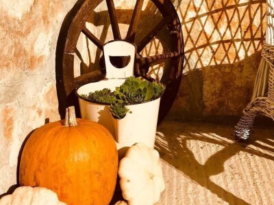 Kuća magične trave  - OPG Jakopović