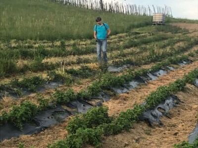 Kuća magične trave  - OPG Jakopović