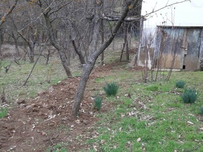 kuća Marka Cvetanovića