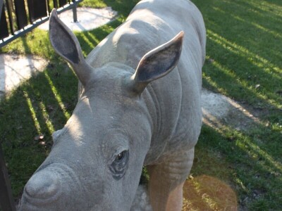 Kuća Panonskog mora