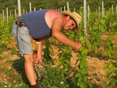 Kuća vina Ivan Katunar