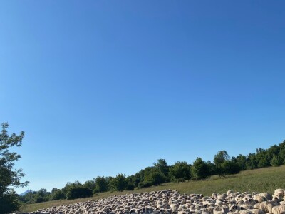 OPK Kučan Aleksinica