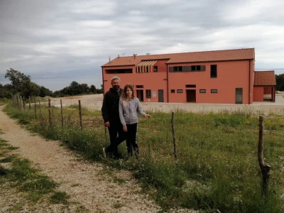 Ovčarstvo na Cresu