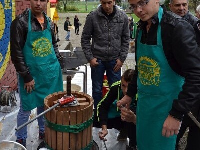 Kuhari na Danima jabuka Kuhari na Danima jabuka