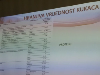 Kukci na tanjuru