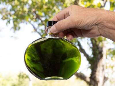 POTEKLO PRVO TEKUĆE ZLATO: Litra novog ulja od zelenih maslina od 150 do 500 eura! POTEKLO PRVO TEKUĆE ZLATO: Litra novog ulja od zelenih maslina od 150 do 500 eura!