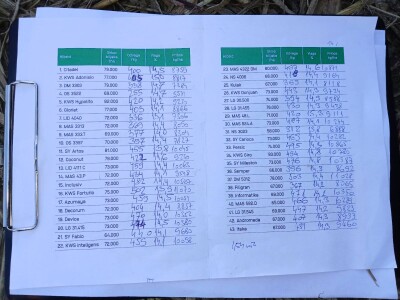 Dani polja kukuruza FAZOS 2024 - Komparativni pokusi