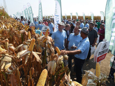 20 godina Pioneer-a u Srbiji i 90 u svetu!