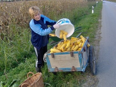 Uz pomoć kćerke kolica su napunjena