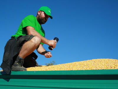Kukuruz INCLUSIV dao prosječno 13 t/ha, a u Međimurju preko 16 t/ha suhog zrna