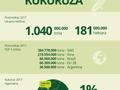 Infografika globalne proizvodnje kukuruza 2016/2017